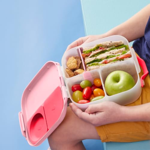 b.box Mini Lunch Box Kids | 4.25 Cup Leak Proof Bento Box for Kids Ages 3+ | 3 Compartment Snack Containers, School Lunch Container, Dishwasher Safe, BPA-Free, PFAS-Free - Flamingo Fizz - color: Flamingo Fizz, size: 1-pack