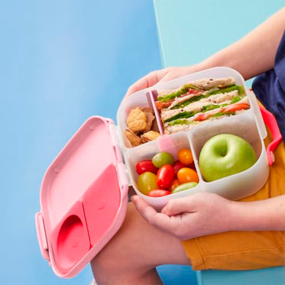 b.box Mini Lunch Box Kids | 4.25 Cup Leak Proof Bento Box for Kids Ages 3+ | 3 Compartment Snack Containers, School Lunch Container, Dishwasher Safe, BPA-Free, PFAS-Free - Flamingo Fizz - color: Flamingo Fizz, size: 1-pack