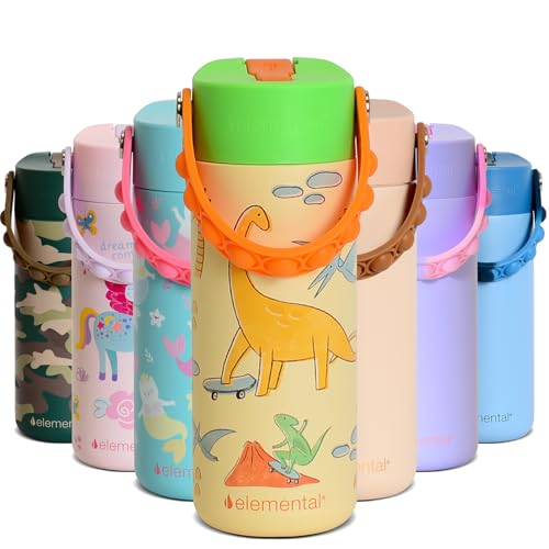 Elemental Insulated Kids Water Bottle, Stainless Steel Water Bottle with Straw Lid & Pop-It Handle, Leak-Proof Water Bottles for School, Boys or Girls, Travelling and Sports, 18oz - Skater Dinos - color: Skater Dinos