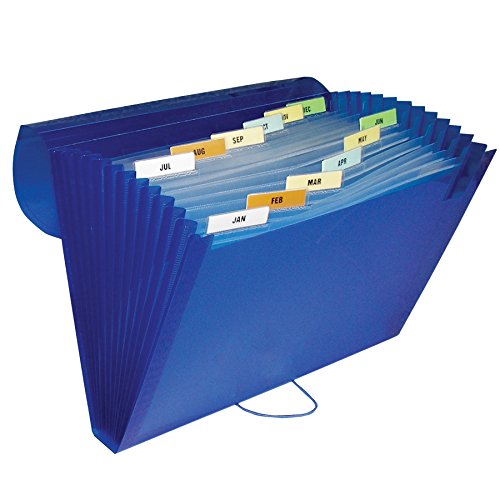 C-Line 13-Pocket Poly Expanding File, Letter Size, 1 Expanding File, Color May Vary (58310) - color: Assorted Color (May Vary), size: 13-Pocket (Letter Size)