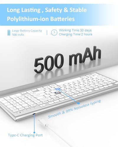 FENIFOX Wireless Keyboard, Bluetooth & 2.4G USB & USB-C Rechargeable Silent Ultra Quiet Low Profile Compact Full Size with Number Pad Soft Multi Device for Mac MacBook Windows PC - White & Silver - color: Silver White