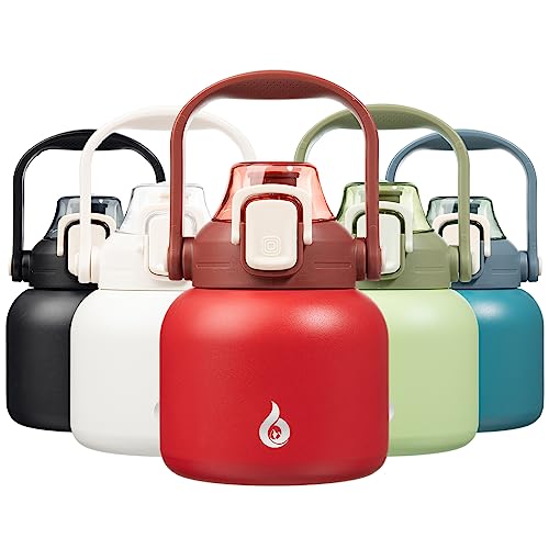 BJPKPK Insulated Water Bottles with Straw, 20 oz Cute Water Bottles with Handle, BPA Free Stainless Steel Metal Jug, Easy Carry Flasks for Men & Women, Red - color: 20 ozRed, size: 20 Ounces