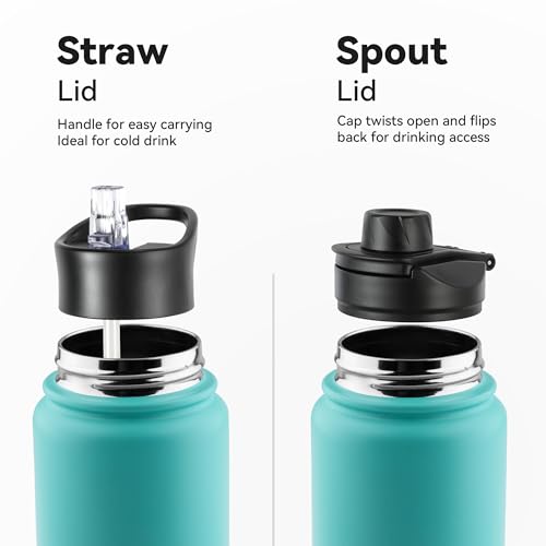 24oz Insulated Water Bottle with Straw Lid, Stainless Steel Metal Water Bottle with Straw & Wide Mouth Lid, Double Wall Vacuum Water Bottle for Hiking Camping, Bubble Gum 1 Pack - color: Bubble Gum, size: 24 Ounces