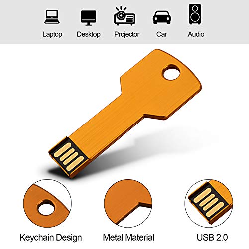 RAOYI 10 Pack 2GB USB Flash Drive USB 2.0 Metal Key Shape Memory Stick Thumb Drive Pen Drive-Gold - color: Gold, size: 2GB