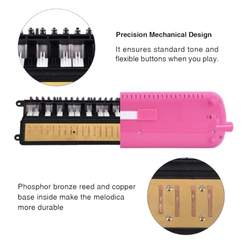 EastRock 32 Key Melodica Instrument Keyboard Soprano Piano Style with Mouthpiece Tube Sets and Carrying Bag for Beginners Adults Gift Pink - color: Pink, size: 32key