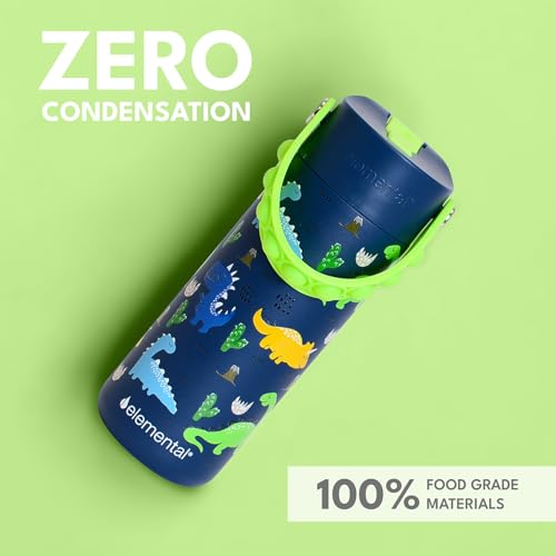 Elemental Insulated Kids Water Bottle, Stainless Steel Water Bottle with Straw Lid & Pop-It Handle, Leak-Proof Water Bottles for School, Boys or Girls, Travelling and Sports, 18oz - Dinosaur - color: Dinosaur