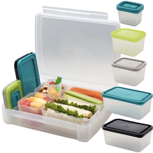 Bentology Bento Lunch Box Set w 5 Leakproof Made-to-Size Snack Containers & Built-In Utensil Holder- Meal Prep Made Easy w Reusable, Kid's Back to School or Office- Durable, BPA Free, Dishwasher Safe - color: Clear Multi Color