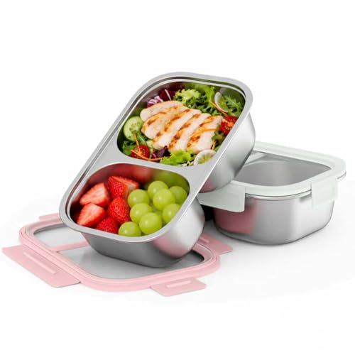 2 Pack 316 Stainless Steel Bento Box, 2-Compartment Microwave-Safe Metal Lunch Box, Leakproof Lunch Container for Work, On the Go (20oz/600ml Pink & Blue) - color: 20oz Pink & 20oz Blue