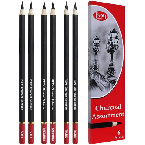 Pepy Charcoal Assorted Set of 6 Pencils: 2 Each Hard, Medium, Soft Pencils