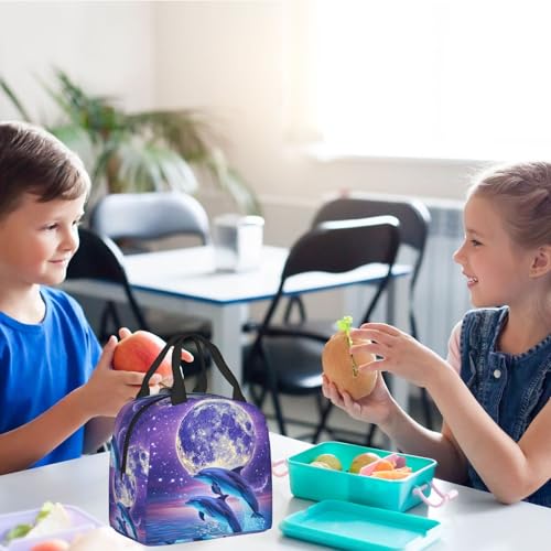 Dolphin Lunch Box - Insulated Lunch Bags for Kids Boys Girls Reusable Lunch Tote Bags, Perfect for School/Camping/Hiking/Picnic/Beach/Travel - color: Dolphin