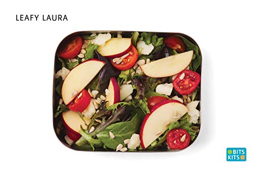 Bits Kits Stainless Steel Bento Box Lunch and Snack Container for Kids and Adults, 1 Compartment, 3 Cup Capacity, Color-Silver | For Kids & Adults | Easily Fits In Lunchboxes | Durable Stainless Steel | Dishwasher Safe | 3 Cup Capacity | On The Go - style