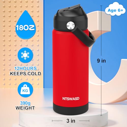 Kids Water Bottle with Straw,18 oz Boys Insulated Cups with Stainless Steel Leak Proof for School Boys Girls,Sport&Travel（Red） - color: B15.Red