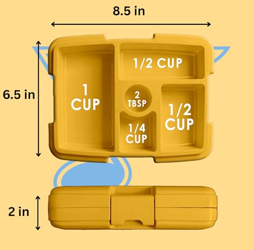 FOCO NHL Unisex-Adult Officially Licensed Team Color Stripe Primary Logo Hockey Leak Proof 5 Compartment Bento Lunch Box - St. Louis Blues - color: St. Louis Blues