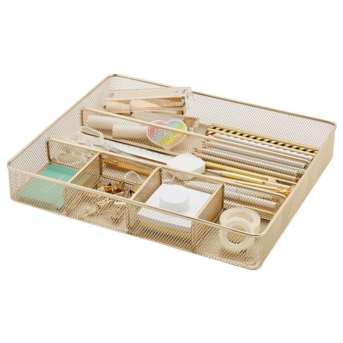 Annova Desk Top Organizer Tray for Office Organization - Metal Mesh - Storage Tray with Dividers for Pens, Desktop Accessories, Bathroom, Kitchen, Makeup and Office Supplies (Large, Gold) - color: Gold, size: Large