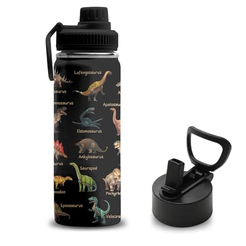 Dinosaur Gifts for Boys, 18 oz Stainless Steel Water Bottles with 2 Lids, Insulated Water Bottle with Straw, Dinosaur Cups for Travel Sports Outdoor, Birthday Christmas Gifts for Boys Dino Lovers - color: Dinosaur