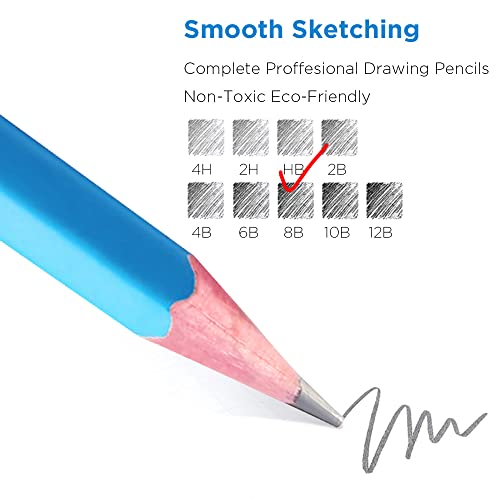 Sketch Pencils for Drawing HB, 12pcs Professional Art Drawing Pencils for Shading, Sketching & Doodling | Graphite Pencil for Artists & Beginners - style: HB 12pcs