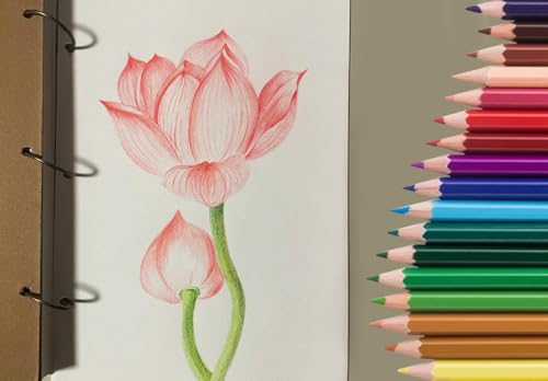 SKKSTATIONERY 색연필 50개, 50가지 선명한 색상, 스케치, 예술, 컬러링 북용 드로잉 연필, 신학기