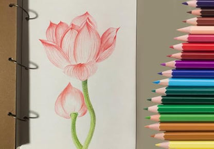 SKKSTATIONERY 색연필 50개, 50가지 선명한 색상, 스케치, 예술, 컬러링 북용 드로잉 연필, 신학기