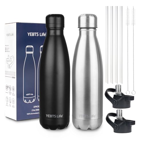 Insulated Water Bottle, 2 Pack-17oz Stainless Steel Water Bottles with straw lid, Metal Sports Water Bottles for Boys,Girls, Double Wall Vacuum BPA-Free Flask for School, Sports(Black-Sliver) - color: Black-Sliver, size: 17 Ounces