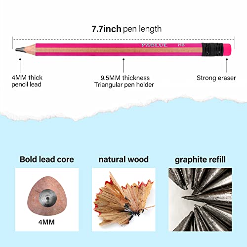Fat, Thick, Strong Triangular Presharpened 2B Pencils, Jumbo Wood Pencils with Eraser for Beginners, Writing, Drawing, Kids, Art, Sketching and Shading(Black, 6 Count) - color: Black, style: 2B Lead