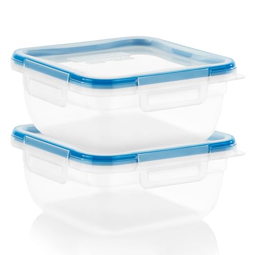 Snapware Plastic Total Solution 2-Pack (5.5-Cup) Food Storage Containers Set, Leakproof & Airtight Plastic Locking Lids Square Containers, Non-Toxic BPA-Free Lids, Microwave Dishwasher Freezer Safe - size: 2 Pack, style: 5.5 Cup
