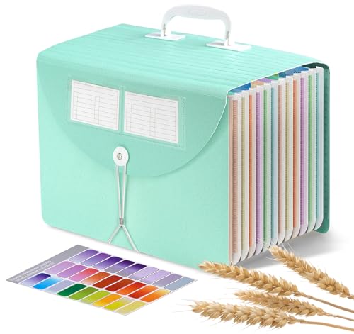 Agoer 13 Pockets Accordion File Organizer,Wheat Straw Expanding File Folder | Expanding File Folder with Handle & Labels, Monthly Paper Bill Receipt Organizer, A4/Letter Size Document Storage for School - style: 13 Pockets-Handle