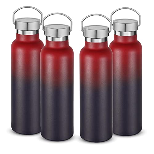 Neihepal 20 oz Insulated Water Bottles Bulk 4 Pack,Stainless Steel Double Wall Sport Bottle with Lid of Handle,Metal Reusable Thermoses Flask for School,Cyclists,Hikers,Gift (Dark Rainbow,Set of 4) - color: Dark Rainbow