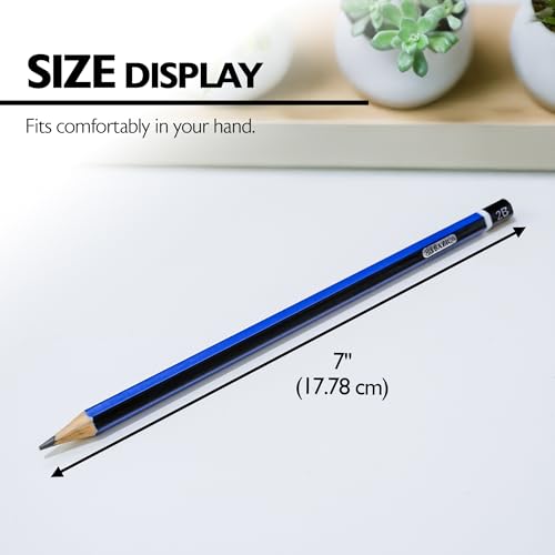 BAZIC PRODUCTS #2B Premium Wood Pencils, 12 Count, for Drawing | Softer #2B graphite for dark, bold lines, Wood barrel, fine point, shading, sketching, writing - size: 1 Count (Pack of 1)