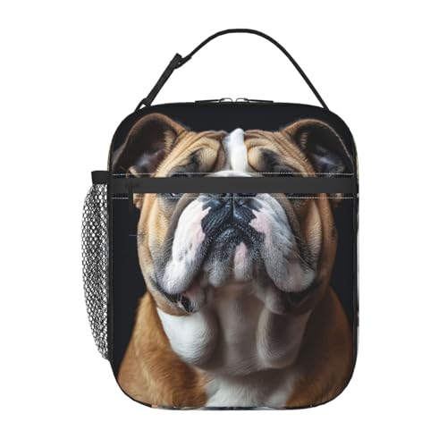Insulated Lunch Box for Women Men, Bulldog Theme Lunch Box Reusable Portable Lunch Bag Cooler Tote Waterproof Lunch Container for Office Picnic Work Travel - color: Color159