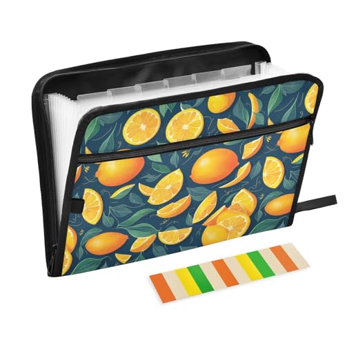 Fruit Citrus Tree Orange File Folders,Plastic Folders with 13 Pockets,Expandable File Folder for Documents School Students Office,Aesthetic Folder with Labels A4 Letter Size - color: Multicolor 14