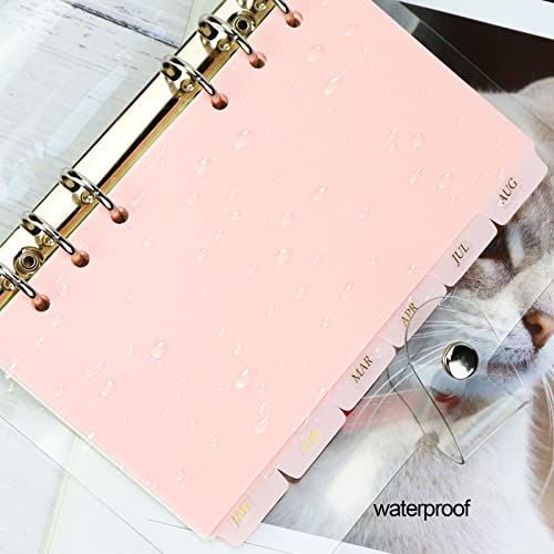 Koqye 12PCS Pink Personal Dividers with 6 Blank Tabs & Planner Stickers | 3.75" x 6.75", Plastic Side Tab Dividers Refillable Page Protectors for 6-Ring Binders, Planner, Agenda - color: Pink - 2set