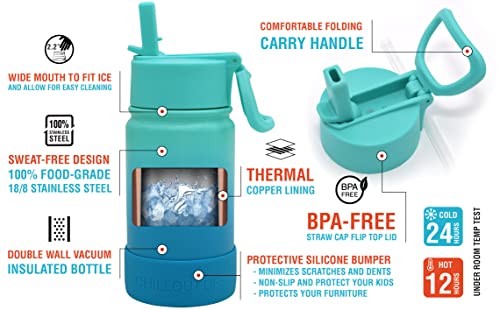 CHILLOUT LIFE 12oz Kids Insulated Stainless Steel Water Bottle with Leak Proof Straw Lid & 144 Stickers - color: Ocean Blue, style: 12 oz