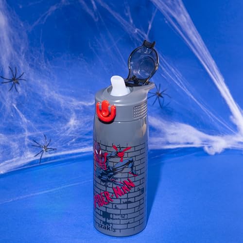 Zak Designs Marvel Spider-Man Sage Kids Water Bottle For School or Travel, 19oz Stainless Steel Water Bottle With Straw, Handle, and Leak-Proof, Pop-Up Spout Cover (Miles Morales) - color: SpiderMan (Sage)