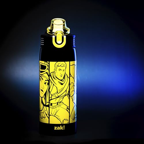 Zak Designs Fortnite Sage Kids Water Bottle For Home or Travel, 19oz Stainless Steel Water Bottle With Straw, Handle, and Leak-Proof, Pop-Up Spout Cover (Jonesy, Renegade Raider, Doggo) - color: Jonesy, Renegade Raider, Doggo