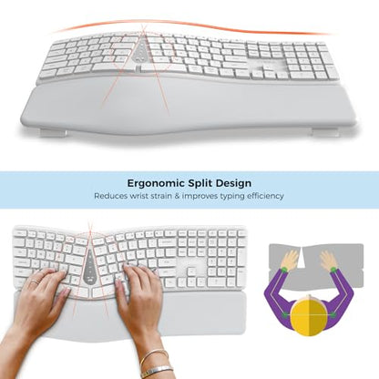 KYSONA Ergonomic Keyboard Mouse Wireless Combo, Full Size Bluetooth Split Keyboard with Wrist Rest, 4 Level DPI Ergo Mouse for Windows Mac OS Computer, White - color: White