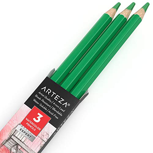 Arteza Professional Watercolor Pencils, Pack of 3, A606 Mint Green, Water-Soluble Pencils for Coloring, Blending, Layering & Watercolor Techniques - color: A606 Mint Green, size: 1 Count (Pack of 3)