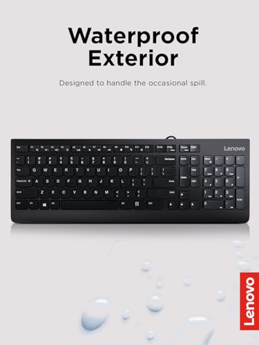 Lenovo 300 USB Keyboard, Wired, Adjustable Tilt, Ergonomic, Windows 7/8/10, GX30M39655, Black - style: Keyboard