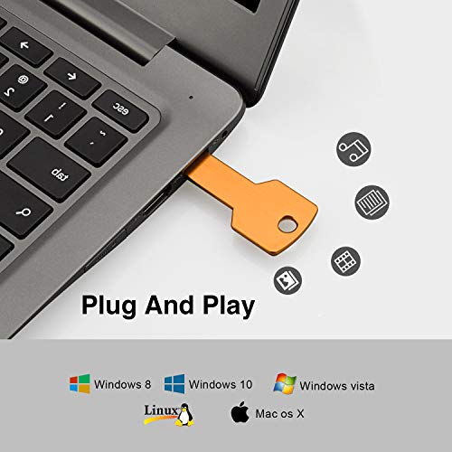RAOYI 10 Pack 2GB USB Flash Drive USB 2.0 Metal Key Shape Memory Stick Thumb Drive Pen Drive-Gold - color: Gold, size: 2GB
