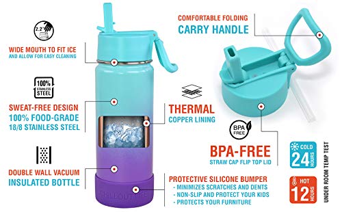 CHILLOUT LIFE 17oz Kids Insulated Stainless Steel Water Bottle with Leak Proof Straw Lid & 144 Stickers - color: Caribbean Lily, style: 17 oz