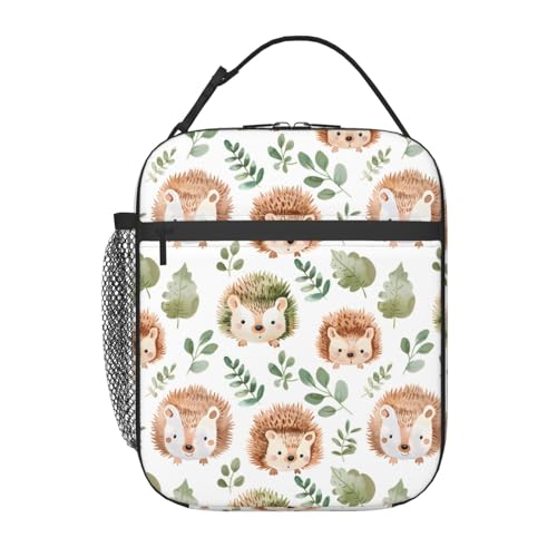 Insulated Lunch Box for Kids Boys Girls, Reusable Lunch Bag for School, Office, Work, Picnic, Travel, Cute Hedgehog Lunch Box - color: lunch box 81