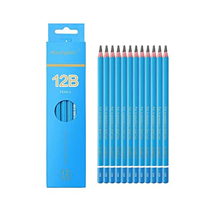 Sketch Pencils for Drawing 12B, 12pcs Softest and Darkest Professional Graphite Pencils, Art Drawing Pencils for Shading for Artists & Beginners - style: 12B 12pcs
