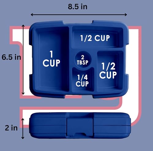 FOCO NFL Unisex-Adult Officially Licensed 2-Tone Big Logo Team Color Football Leak Proof 5 Compartment Bento Lunch Box - New York Giants - color: New York Giants
