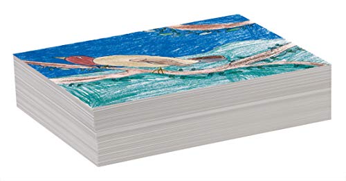 Pacon Drawing Paper,White,Standard Weight,9" x 12",500 Sheets,(Pack of 8) - size: 9" x 12" (Pack of 8), style: Standard Weight