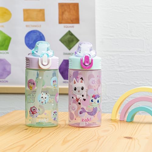 Zak Designs DreamWorks Gabby's Dollhouse Sage Kids Water Bottle For School or Travel, 16oz Durable Plastic Water Bottle With Straw and Leak-Proof, Pop-Up Spout Cover, 2-Pack Set (The Gabby Cats) - color: Gabby's Dollhouse (The Gabby Cats)