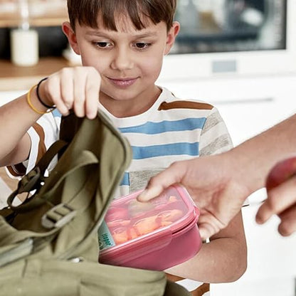 Itopor Bento Box for Kids & Adults, Lunch Box 46 oz, Dusty Pink | Wheat straw material, BPA-free, leakproof, 3 compartments, microwave & dishwasher safe, for school, office & travel - color: Dusty Pink