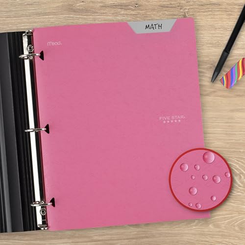 Five Star 2-Pocket Folder, Plastic Folder with Stay-Put Tabs, Fits 3-Ring Binder, Holds 8-1/2" x 11" Paper, Prom Pink (333420R) - color: Prom Pink