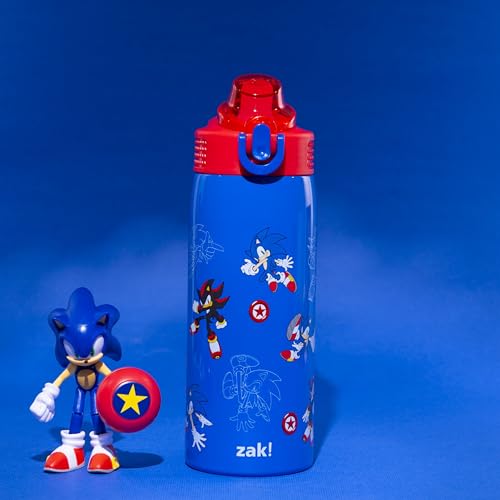 Zak Designs Sonic the Hedgehog Sage 19oz Leak-Proof Straw Kids Water Bottle | BPA Free, Insulated Stainless Steel, Cupholder Friendly, Dishwasher Safe, Lid Lock, Handle, For School, Home, Travel - color: Sonic the Hedgehog (Sage)
