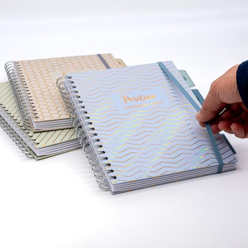 Pukka Pad Haze B5 Notebook – Pack of 3 Wirebound Notebooks with 5 Repositionable Dividers with Storage Pockets and Tabs for Organisation and Personalisation – 200 Pages, 100 Sheets of 80GSM Paper - color: Haze