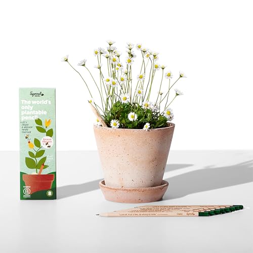 SproutWorld Pencils Spread The Love Edition, 8 Pack with Plantable Seeds | Plantable graphite pencils with flower, herb and vegetable seeds, heartwarming quote gift, for writing, drawing and planting