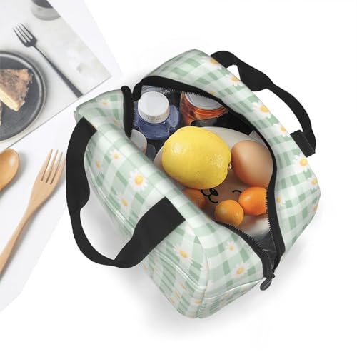 Lunch Bag Daisy Pastel Green Check Plaid Insulated Lunch Box Reusable Cooler Tote for Adults Student Girl Boy Work Office School Picnic Over 3 Years Old - color: B0383